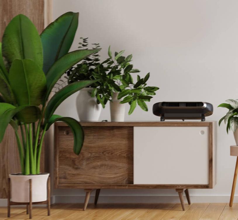AXL Aiflow Elevated Lifestyle of AXL fan sitting on a table in a modern living room. The fan is surrounded by green plants.