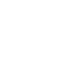 DC Precise Control Icon White Control icon that says Precise Speed Control. Above the text is a gauge that says silent and powerful on opposite sides.