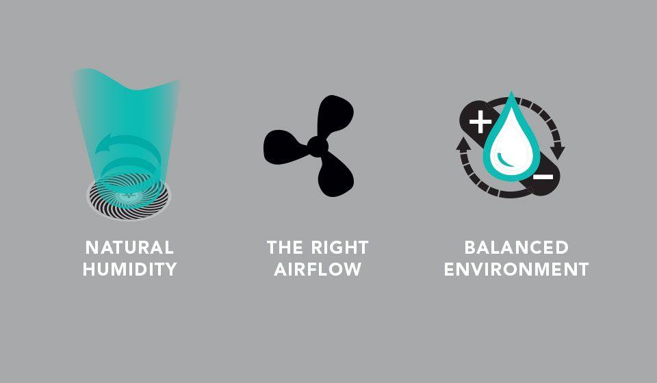 ev100 intelligent Trio of icons for ev100 evaporative humidifier. The icon on the left shows the fan with a teal vortex and curling arrow with the text: Precise Humidity. The middle icon is a a black fan blade with the text: The right airflow. The icon on the right is a white water droplet with a teal outline. Behind it it a plus and a minus sign with circulating arrows. Below the icon is the text: Balanced Environment