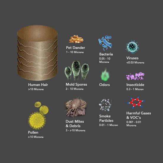 PCO200 4 Stage Protection Image showing PCO200 Purifier 4 Stage Protection against Human Hair > 10 Microns, Pet Dander 1 - 10 Microns, Bacteria 0.05 - 10 Microns, Viruses < 0.03, Mold Spores 3 - 10 microns, Odors, Insecticide 0.3 - 1 microns, Pollen > 10 microns, Dust Mites & Debris 3 - > 10 Microns, Smoke particles 0.01 - 1 microns, and Harmful Gases & VOC's 0.001 - 0.01 microns.