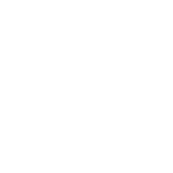 PCODC Precise Control Icon White PCODC Control icon that says Precise Speed Control. Above the text is a gauge that says silent and powerful on opposite sides.